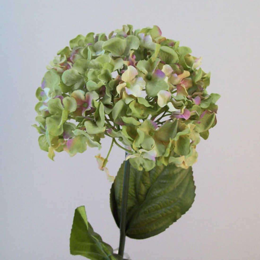 Artificial Hydrangeas Macrophylla Green 68cm Artificial Flowers